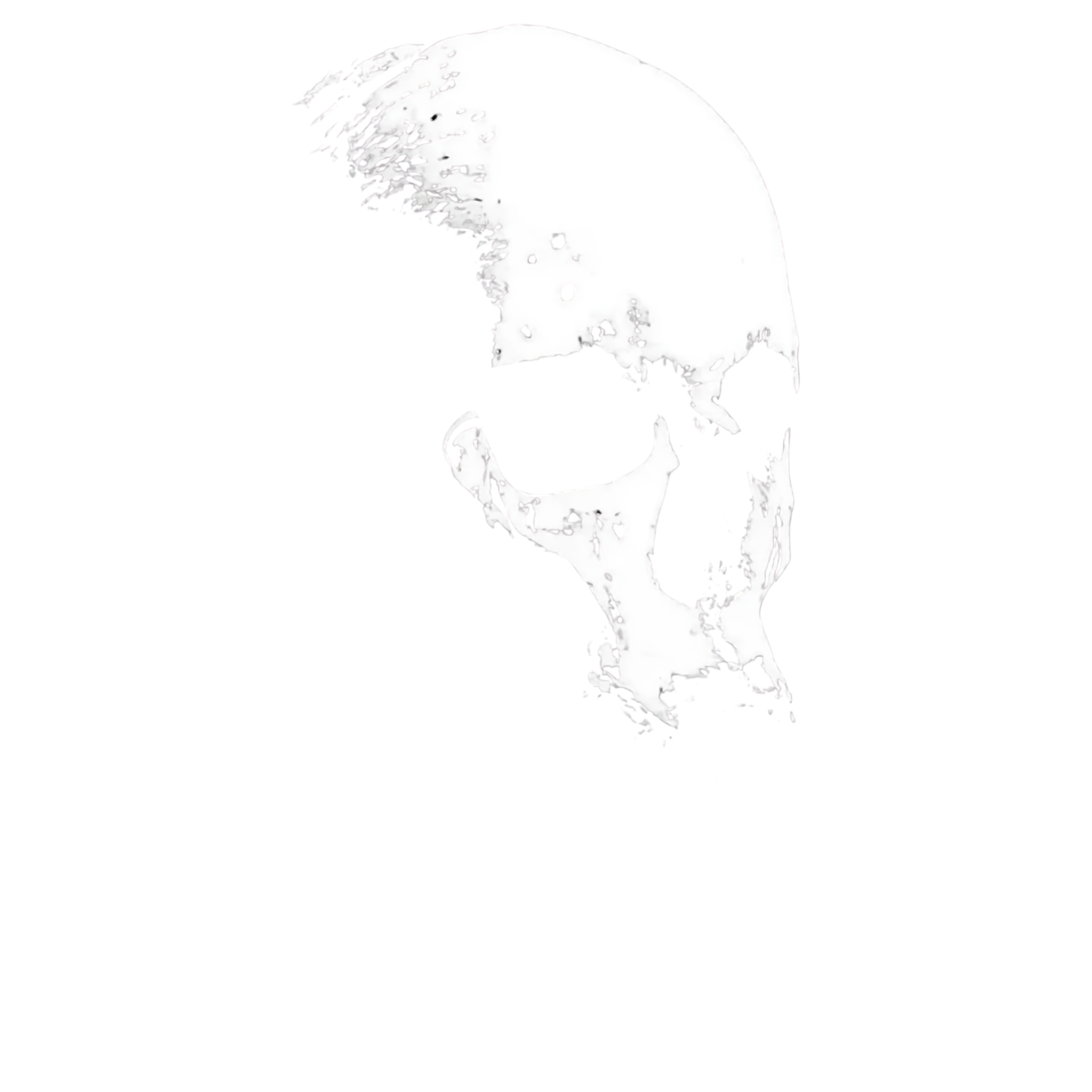 Logo THEWALL